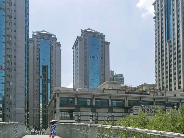 丹凤街周围宠物看病电话